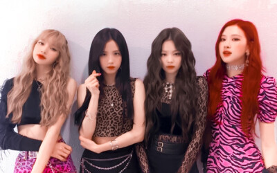 ·BLACKPINK
注明xooy