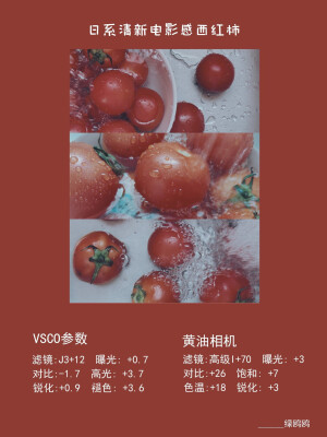 黄油VSCO调色 | 全16种珍藏滤镜合集「下」

©️绿鸥鸥