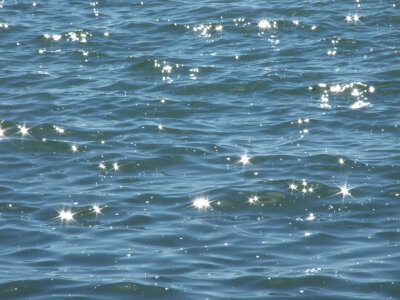 像掉进海里的星星 好美✨