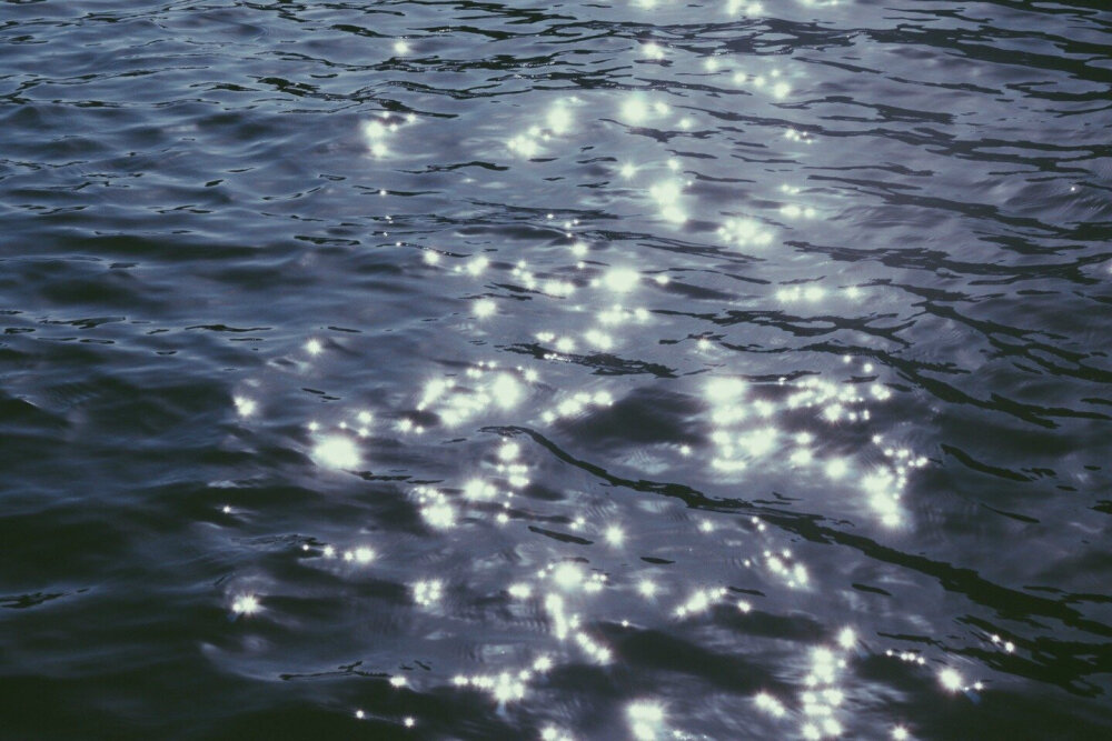 像掉进海里的星星 好美✨