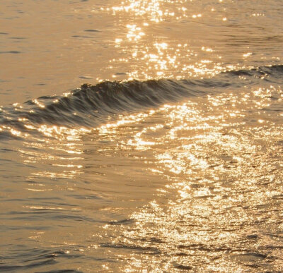 像掉进海里的星星 好美✨