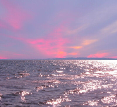 像掉进海里的星星 好美✨