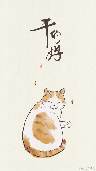 可爱的猫