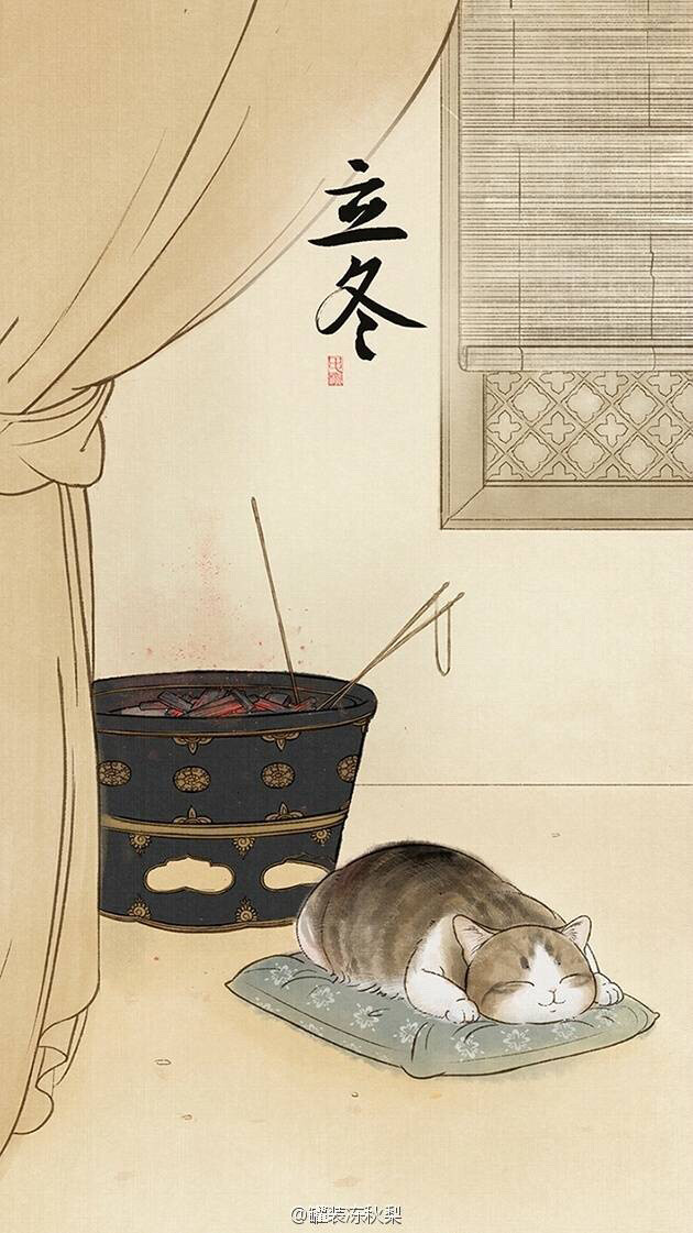 可爱的猫