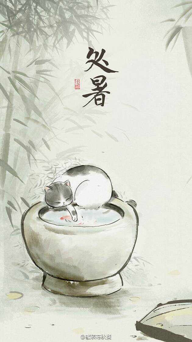 可爱的猫