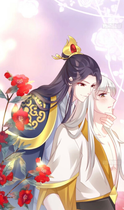 ✦ 我在古代养男人
‣ 自截古风 | 芒菓橙子