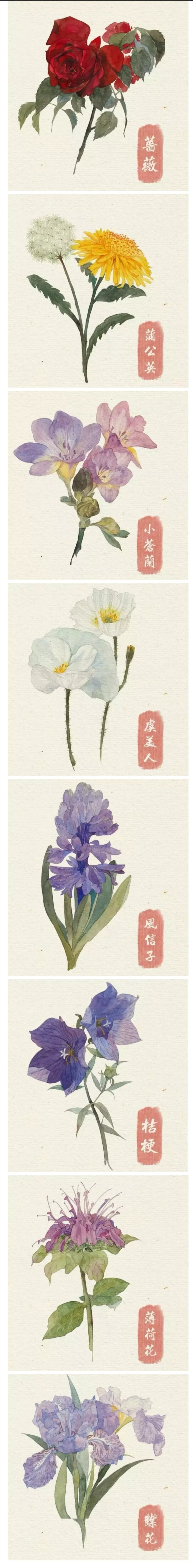 手绘花草