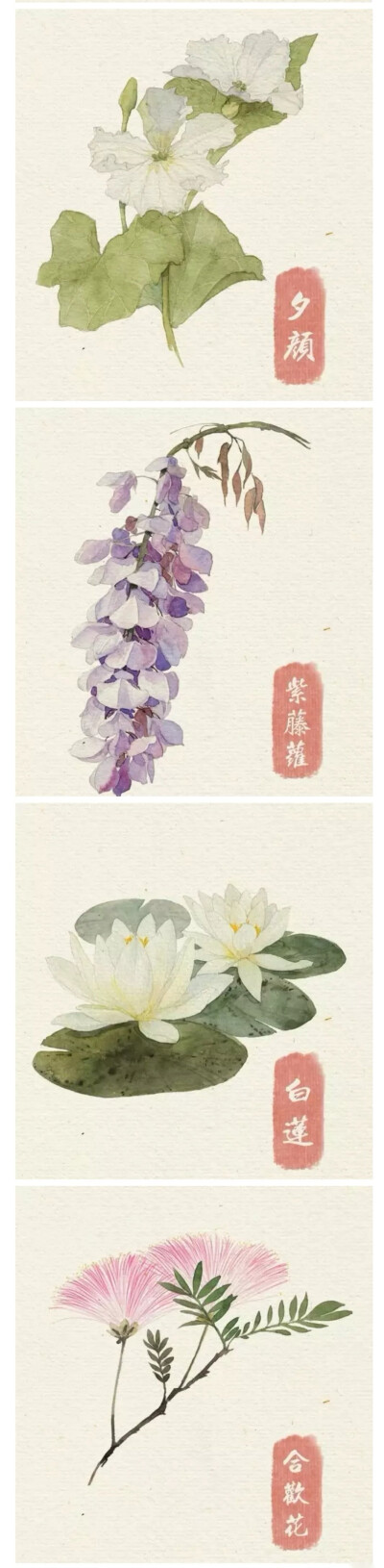 手绘花草