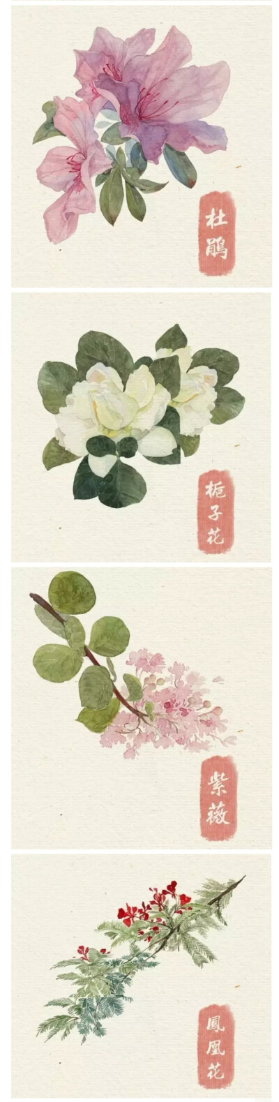 手绘花草