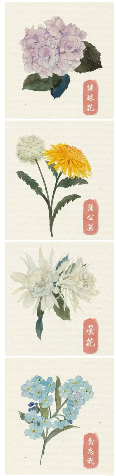 手绘花草