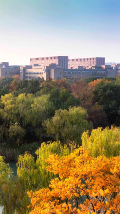 浙江大学