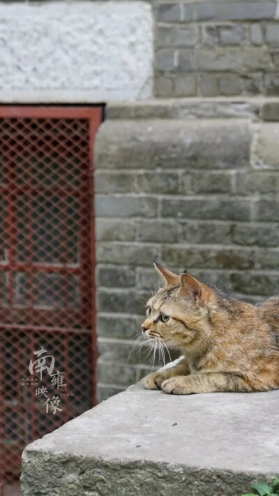 南京大学