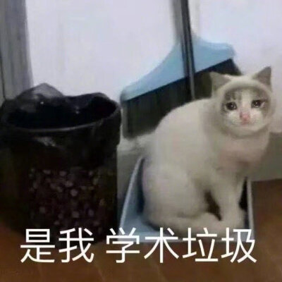 表情包