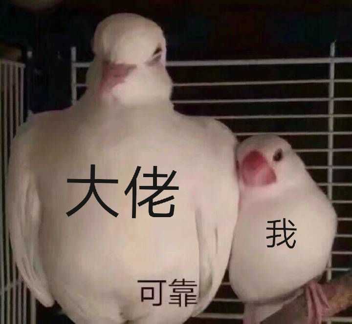 表情包