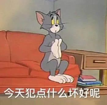 杰瑞汤姆
侵删