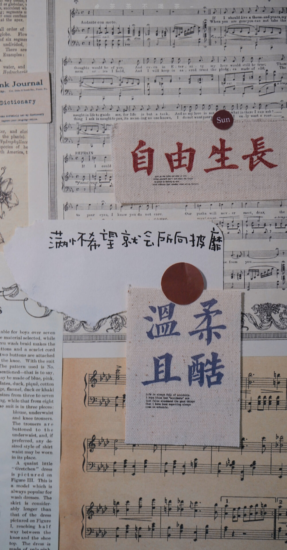 ·文图集·
要活的像螺狮粉，不是所有人都喜欢，可喜欢的人却很上头 ​​​