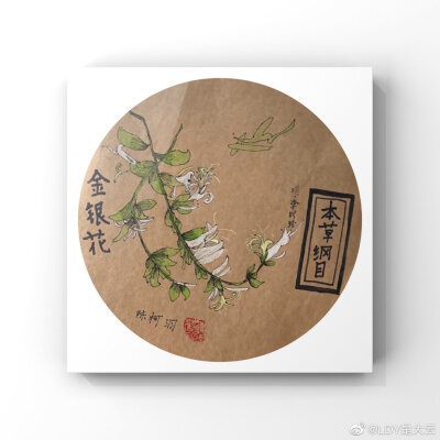 非原创，出处看水印，儿童画，线描，本草纲目，植物老物件