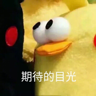 表情包