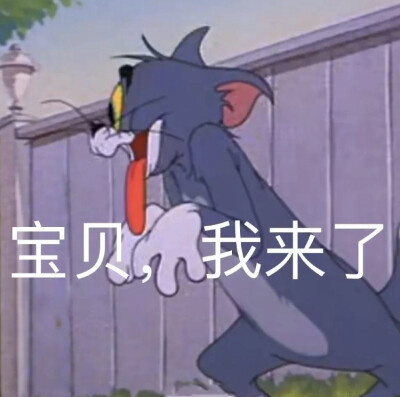 猫和老鼠表情包