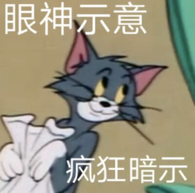 猫和老鼠表情包