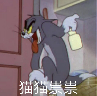 猫和老鼠表情包