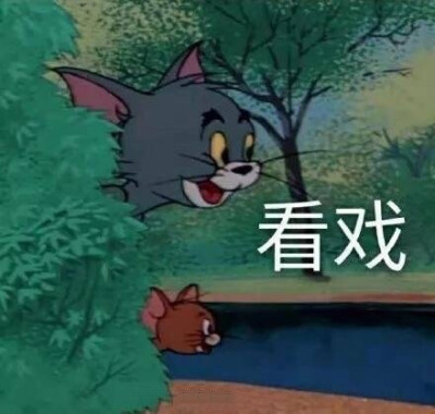 猫和老鼠表情包