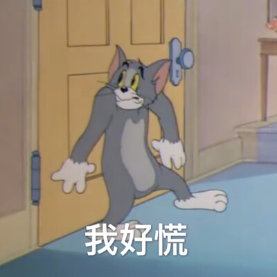 猫和老鼠表情包