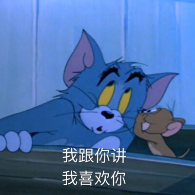 猫和老鼠表情包