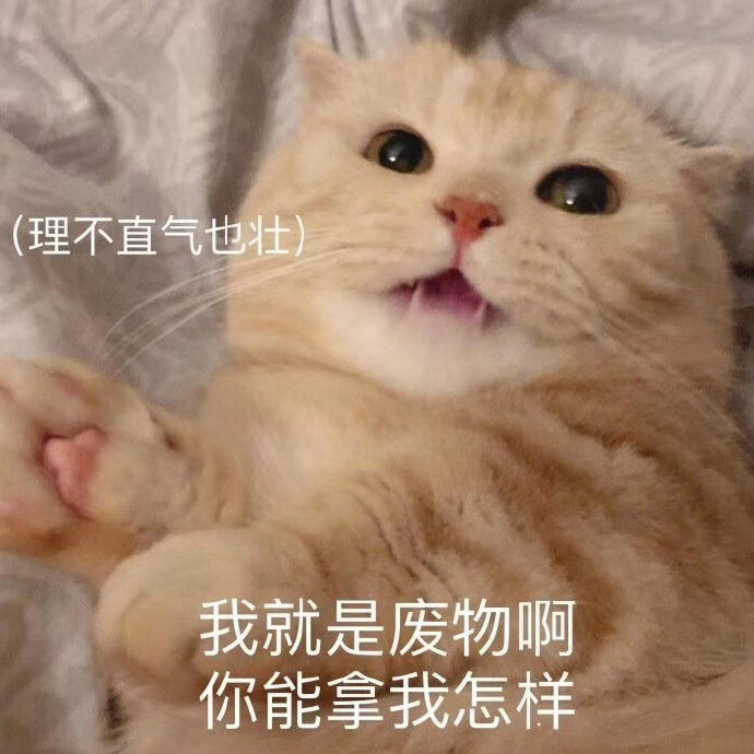 可爱猫咪表情包
cr. 橘猫沙梨Sally