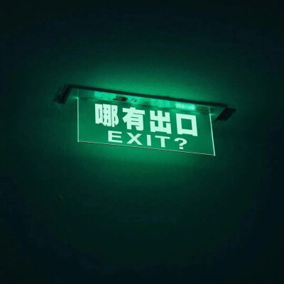好看的封面图~“哪有出口”“橙子柚子傻傻分不清楚”