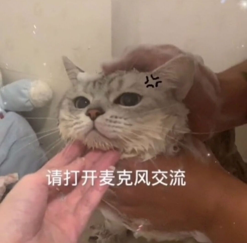 可爱猫猫表情包