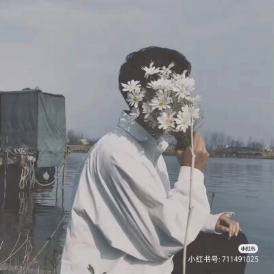 花儿与少年