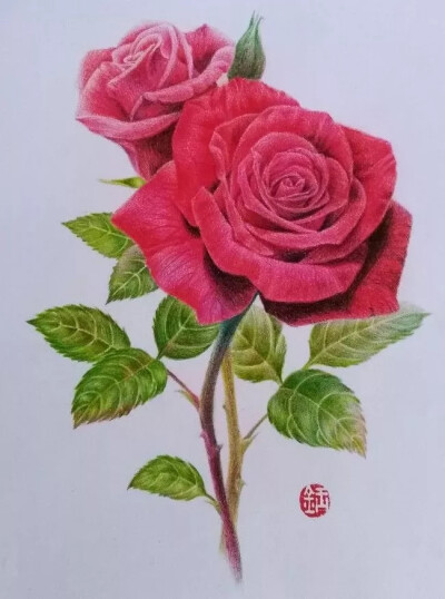 彩铅画