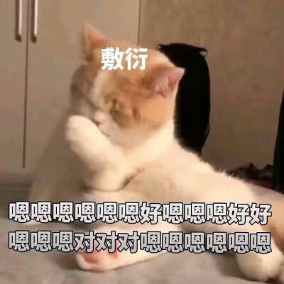 表情包