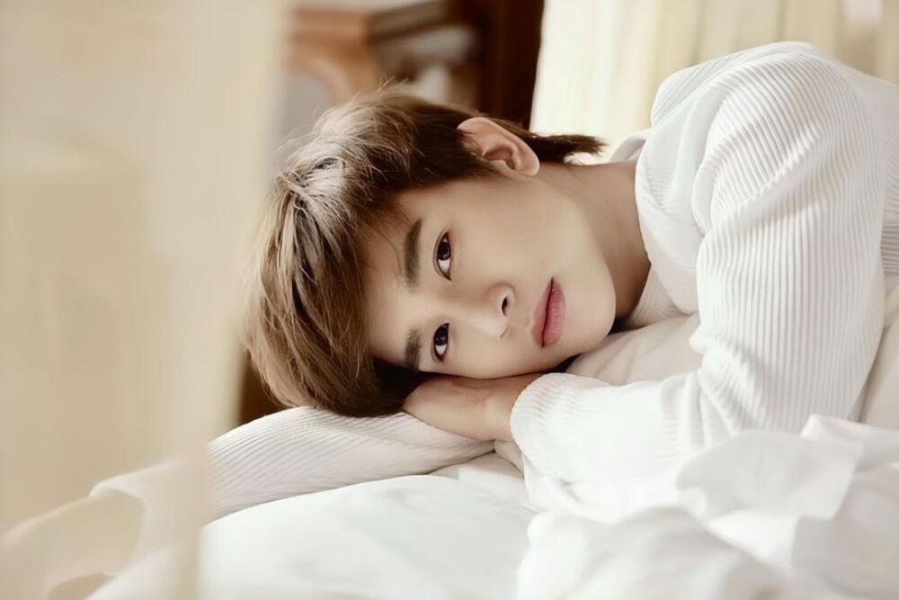 我的眼光并不独特你的优秀显而易见