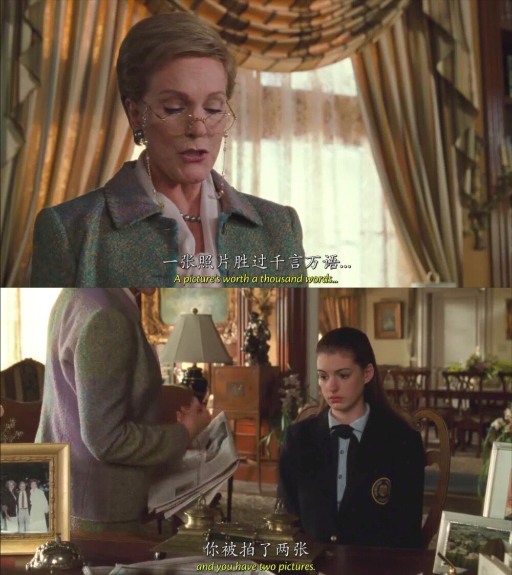 The Princess Diaries
公主日记