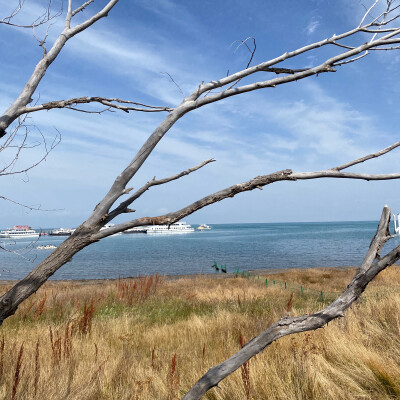 青海湖风景