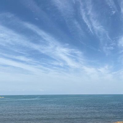 青海湖风景