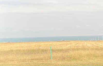 青海湖风景