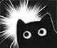 小黑猫表情包
（侵权删）