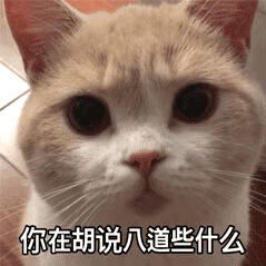 猫猫表情包  GIF动图 你在胡说八道些什么？（盯猪）