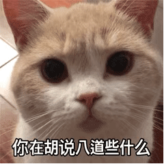 猫猫表情包 GIF动图 你在胡说八道些什么？（盯猪）