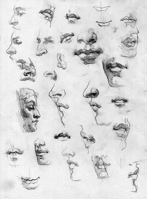 绘画素材