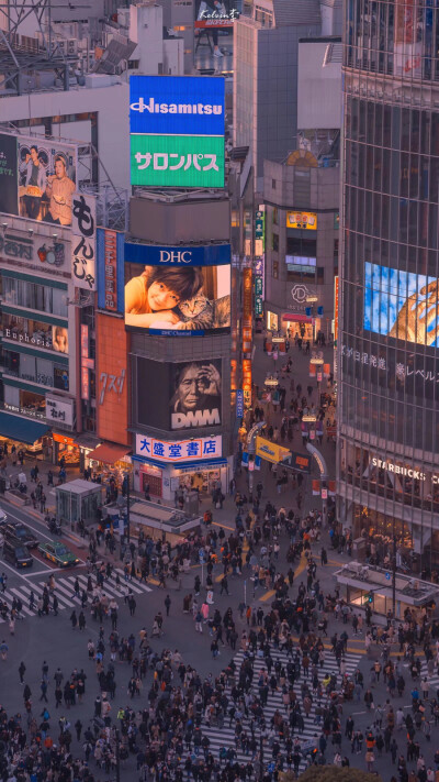 孤独星球。
手机壁纸