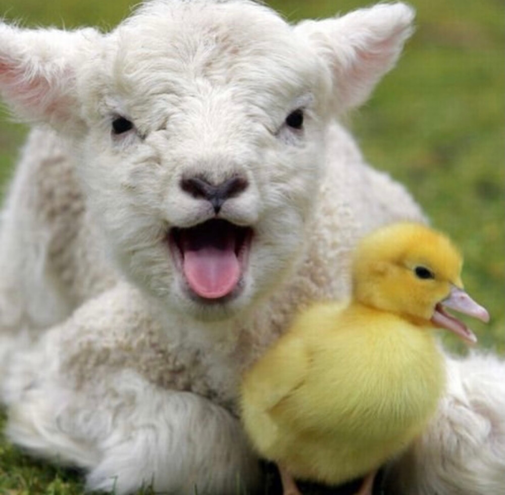 凉爽的假期约朋友一起去秋游野餐吧