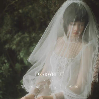 亲爱的白正品《云烟》DearWhite 新款婚纱韩式女短款新娘头饰头纱