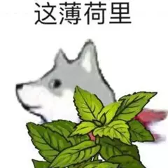 这薄荷里，侵删