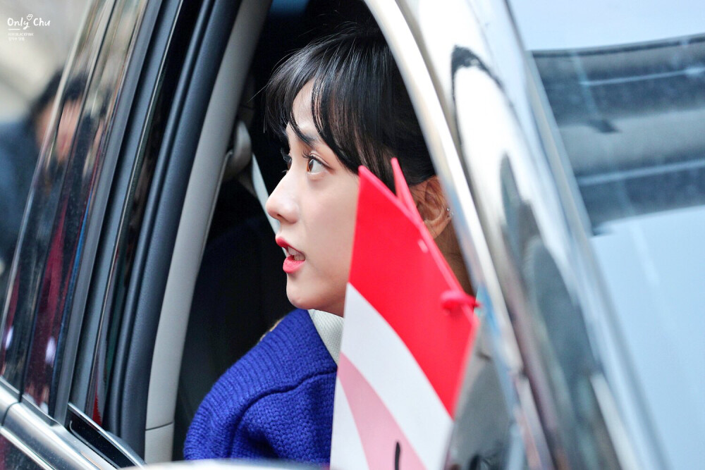 #车窗 智秀
chudot_js