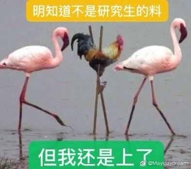 表情包