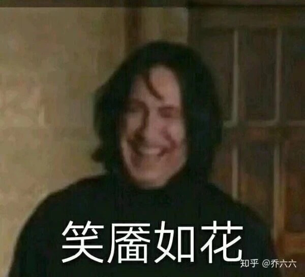 哈利波特表情包